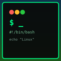 Bash & Linux